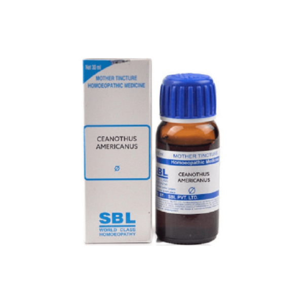 SBL Ceanothus Americanus Mother Tincture (Q) - 30ml